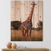Designart - African Giraffe In The Wild I