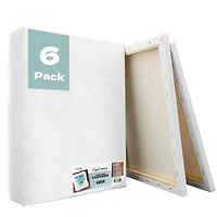 ArtSkills® 6 Pack 11" x 14" Stretched Painting Canvas