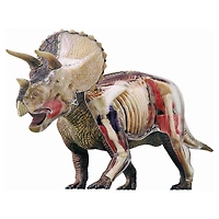 4D Vision™ Triceratops Anatomy Model
