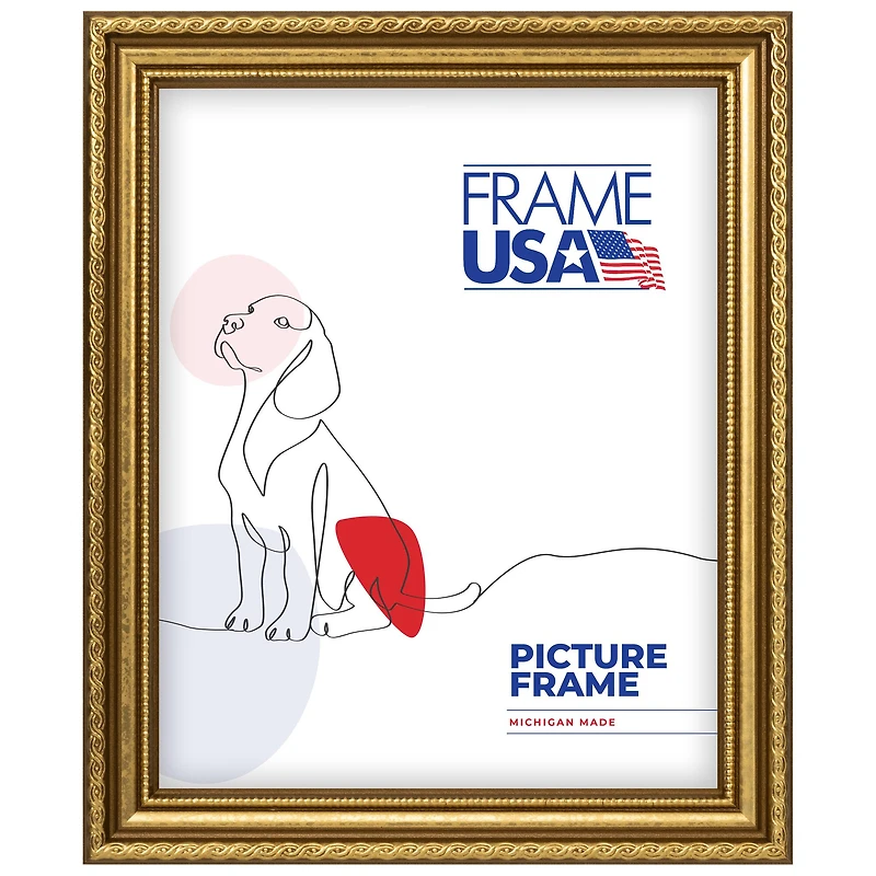 Frame USA American Value Medium Gold Single Image Picture Frame