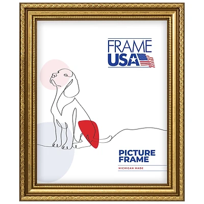 Frame USA American Value Medium Gold Single Image Picture Frame