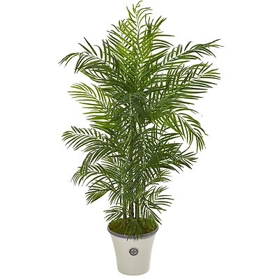 6ft. Areca Palm Tree in White Planter