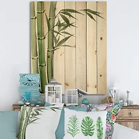 Designart - Detail of Dark Green Bamboo IV - Traditional Print on Natural Pine Wood