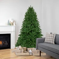 6.5ft. Unlit Full Sierra Noble Fir Artificial Christmas Tree