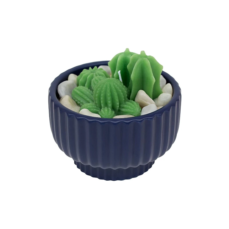 16oz. Navy Potted Succulent Candle by Ashland®