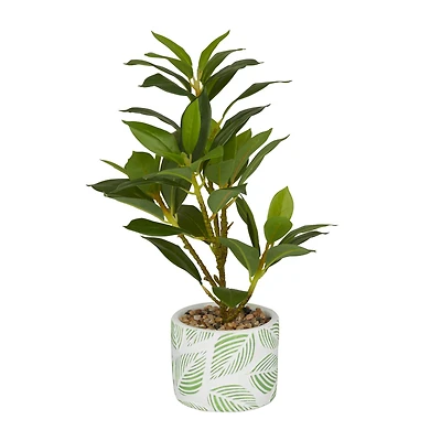 16" Potted White PVC Coastal Evergreen Artificial Foliage