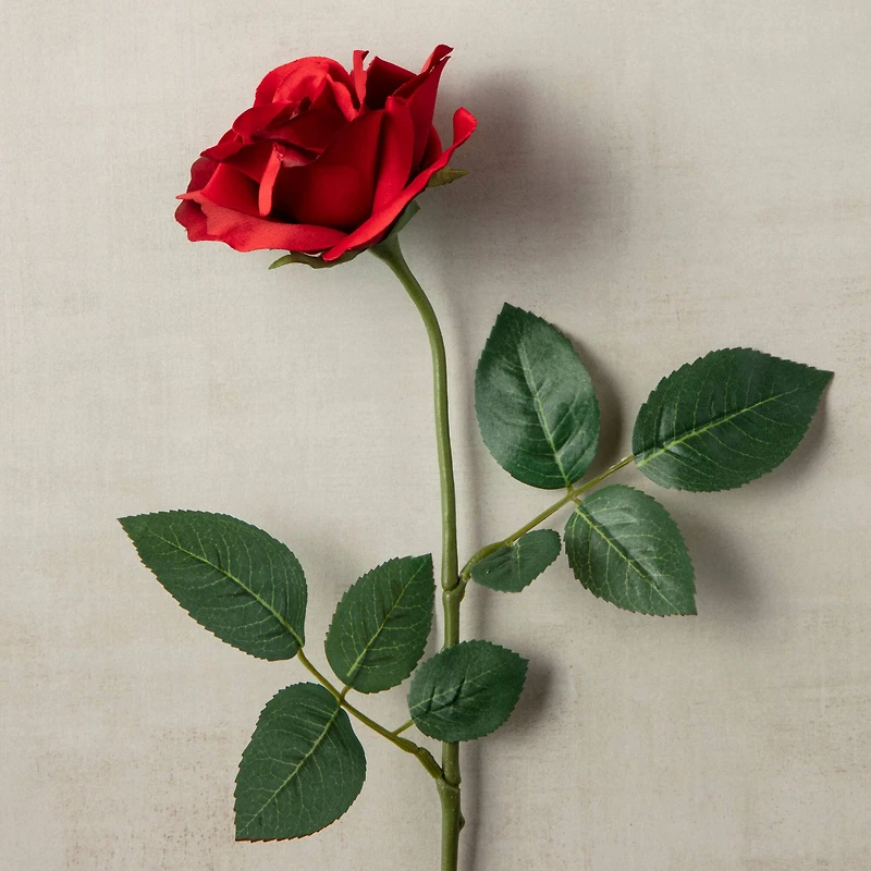 12 Pack: Dark Red Princess Rose by Ashland®