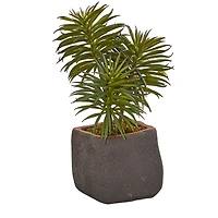 8" Succulent Trio in Gray Planter