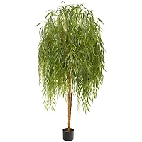 7ft. Potted Willow Tree