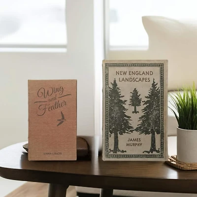 Hello Honey® New England Landscapes Storage Book Box Set