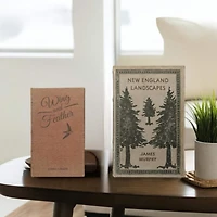 Hello Honey® New England Landscapes Storage Book Box Set