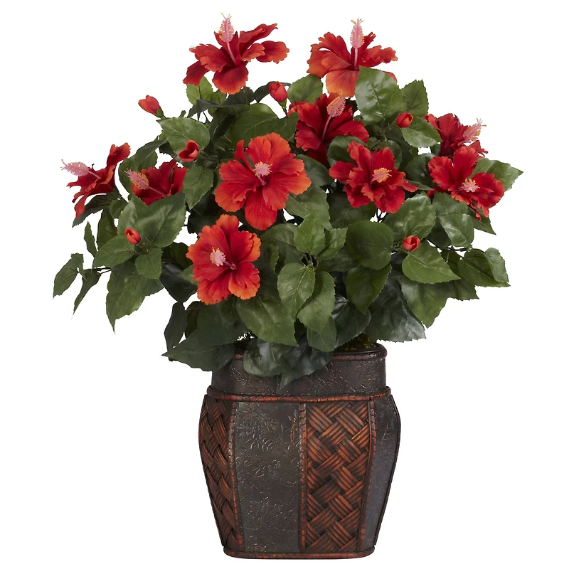 24" Hibiscus Plant in Decorative Planter