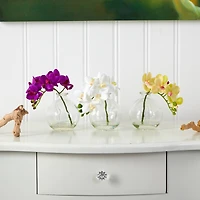 9" Orchid Arrangement in Glass Vase Set
