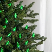 25ct. LED C7 Christmas String Lights