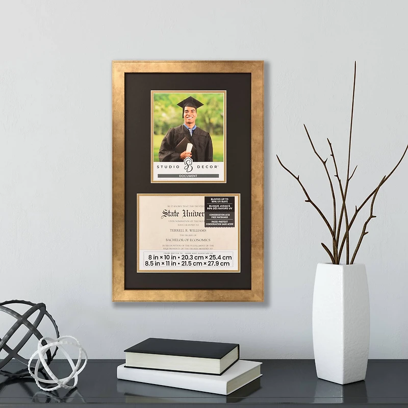 2 Opening 8.5" x 11" Gold Document Frame with Double Mat by Studio Décor®