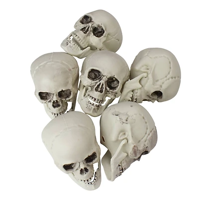 3.5'' Skull Head Halloween Decorations, 6ct.