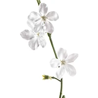 40" White Flower with Pearl Spray by Ashland®