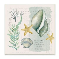 Stupell Industries Shell in Pocket Sand In Shoes Beach Quote,12" x 12"
