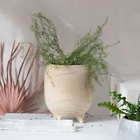 Hello Honey® 11.5" Tall Paulownia Wood Footed Planter