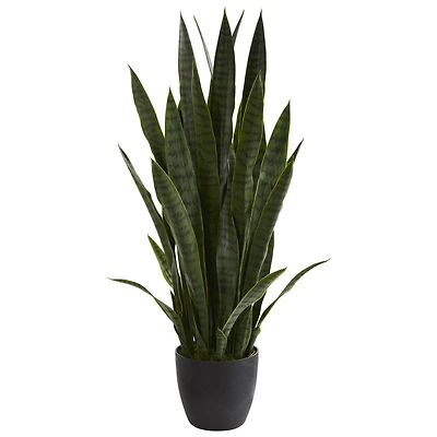3ft. Potted Green Snake Plant