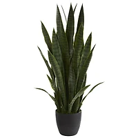 3ft. Potted Green Snake Plant