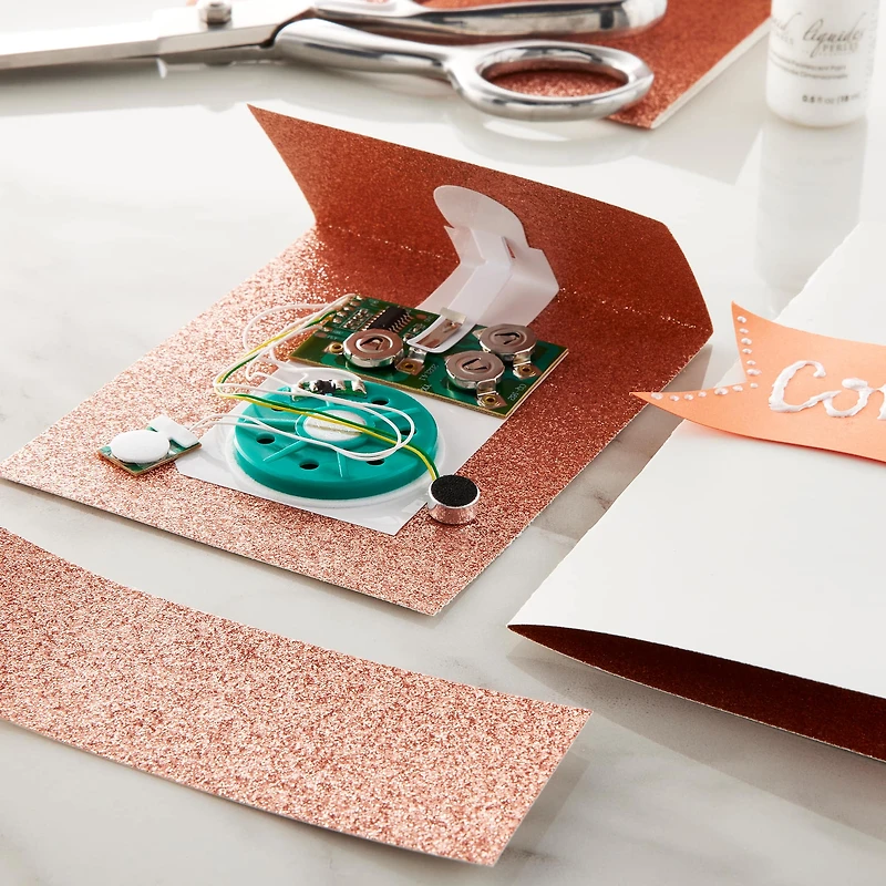 Card Making Recordable Sound Kit by Recollections™