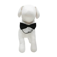 Best Furry Friends Bowtie Dog Collar