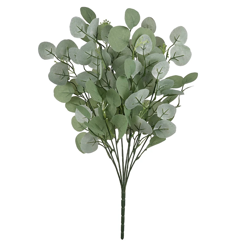 Eucalyptus Bush by Ashland®