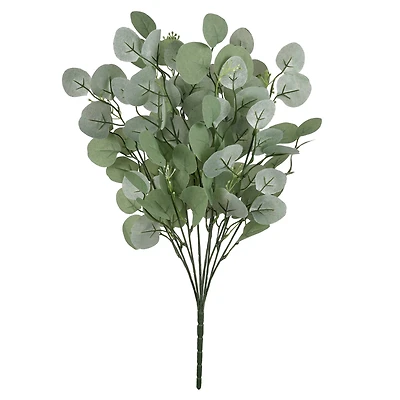 Eucalyptus Bush by Ashland®