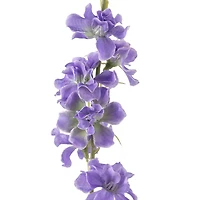 12 Pack: Lavender Wild Delphinium Spray by Ashland®