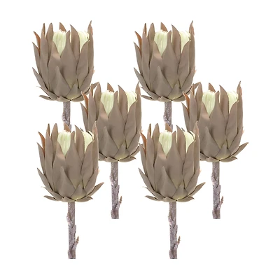 Tan Protea Stem, 6ct.
