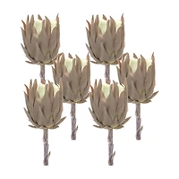 Tan Protea Stem, 6ct.