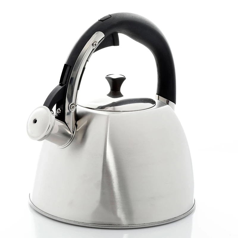 Mr. Coffee Belgrove 2.5qt. Brushed Stainless Steel Whistling Tea Kettle with Nylon Handle