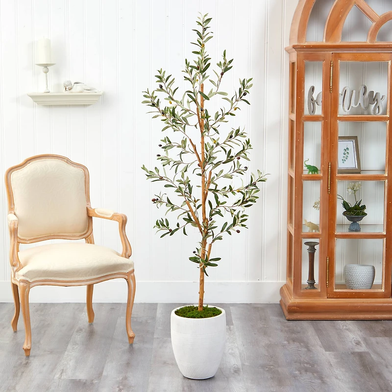 5.5ft. Olive Artificial Tree in White Planter