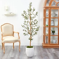 5.5ft. Olive Artificial Tree in White Planter