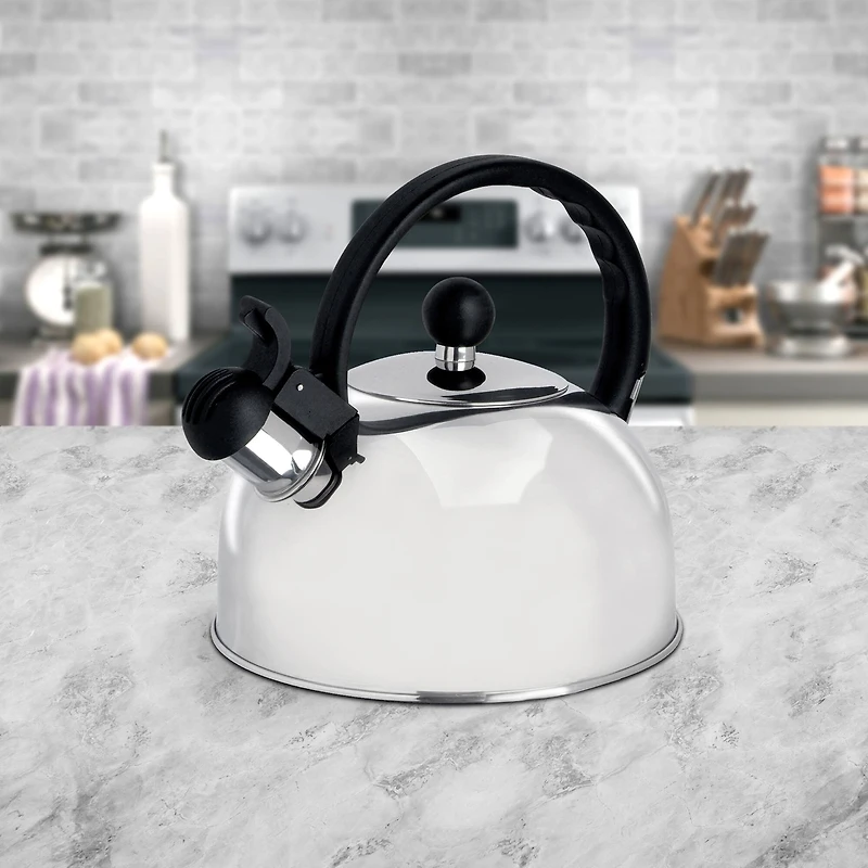 Gibson® Springberry 2.25qt. Stainless Steel Kettle