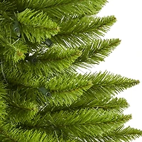 3ft. Pre-Lit Providence Pine Artificial Christmas Tree, Warm White LED Lights