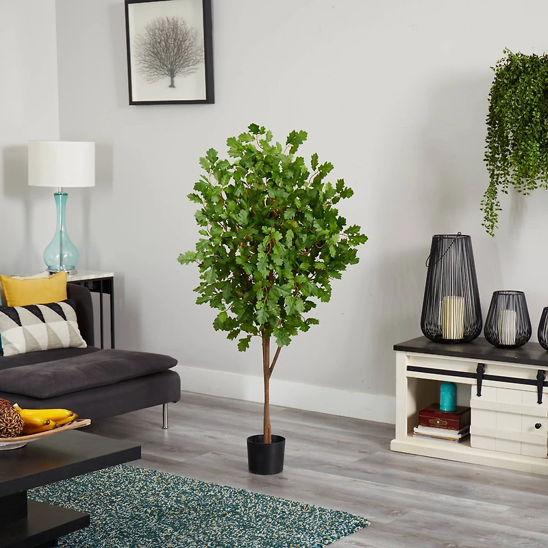 5ft. Potted Oak Tree