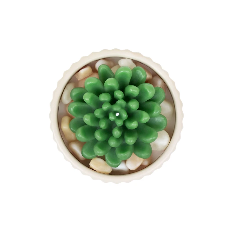 16oz. Cream Potted Succulent Candle by Ashland®