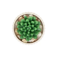 16oz. Cream Potted Succulent Candle by Ashland®