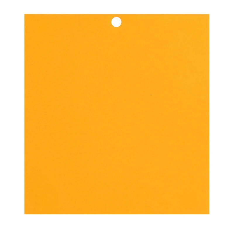 Citrus 6" x 6.5" Cardstock Paper by Recollections™, 100 Sheets