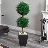 4.5ft. Cypress Topiary in Black Planter