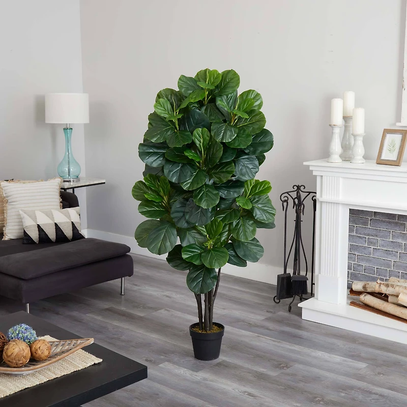 5ft. Potted Fiddle Leaf Fig Tree