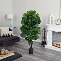 5ft. Potted Fiddle Leaf Fig Tree