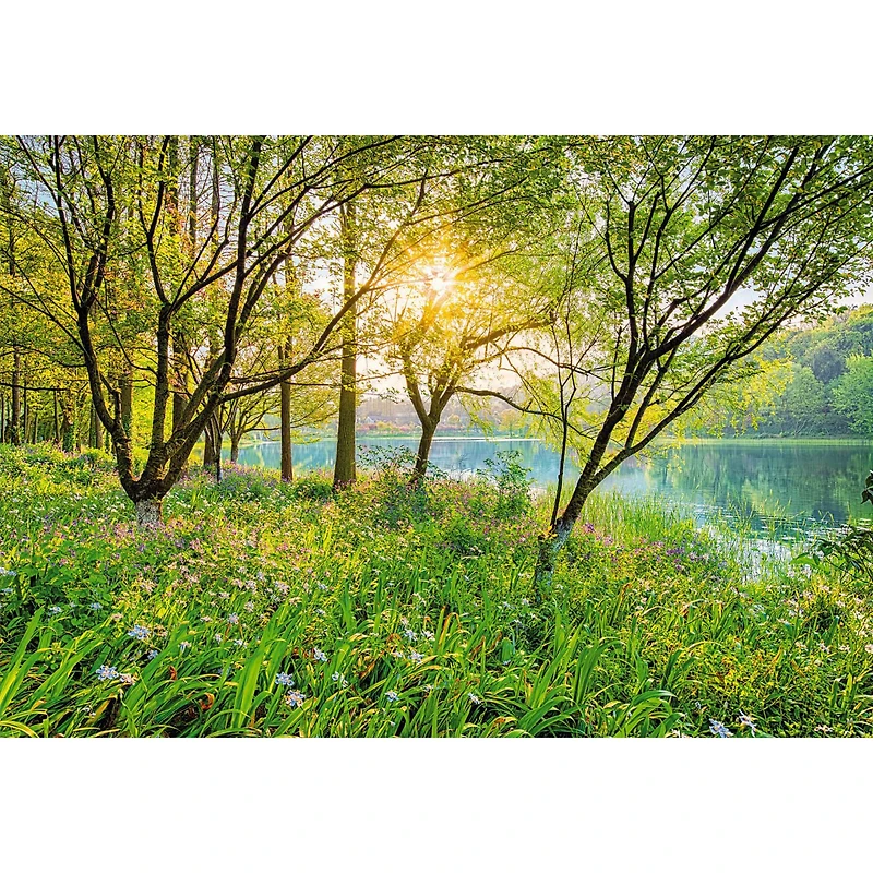 Komar Spring Lake Wall Mural
