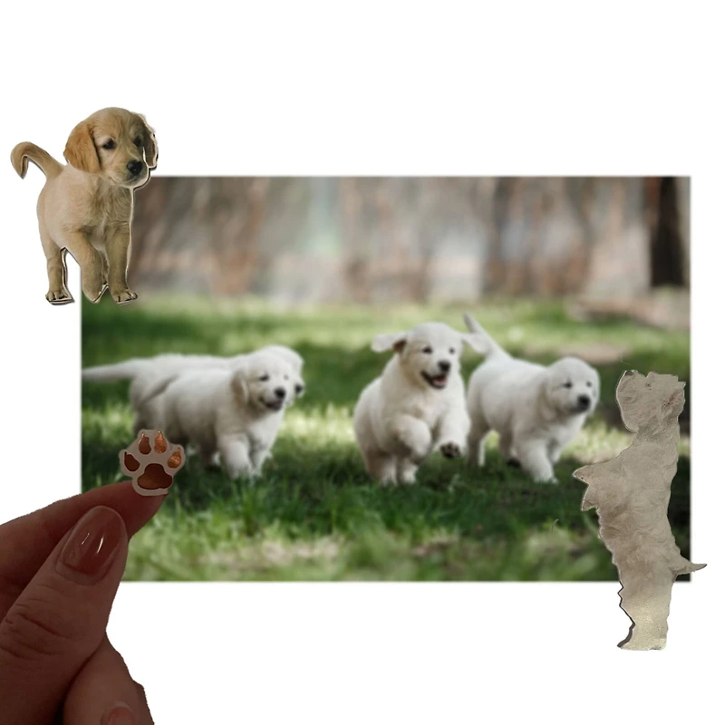 Puppies Dimensional Stickers by Recollections™