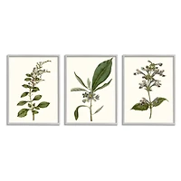 Stupell Industries Minimal Blue Botanical Study Over Neutral Beige in Gray Frame Wall Art