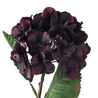 12 Pack: Black & Purple Hydrangea Stem by Ashland®