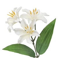 12.5" Lily Bush by Ashland