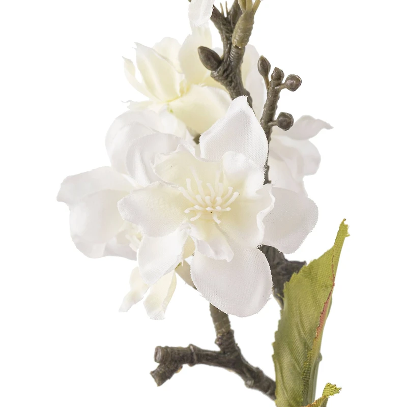 12 Pack: Cream Blossom Spray by Ashland®